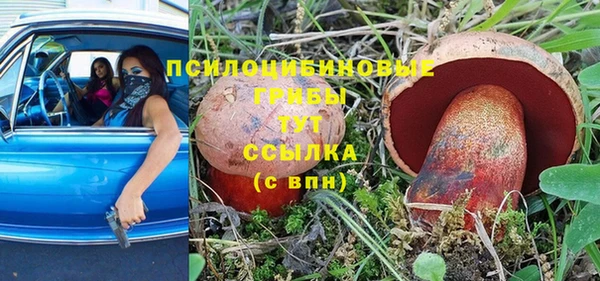 mix Белокуриха