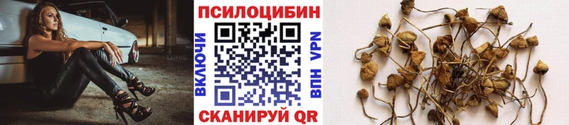 Галлюциногенные грибы GOLDEN TEACHER Горно-Алтайск