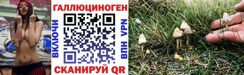 Галлюциногенные грибы прущие грибы  Горно-Алтайск 