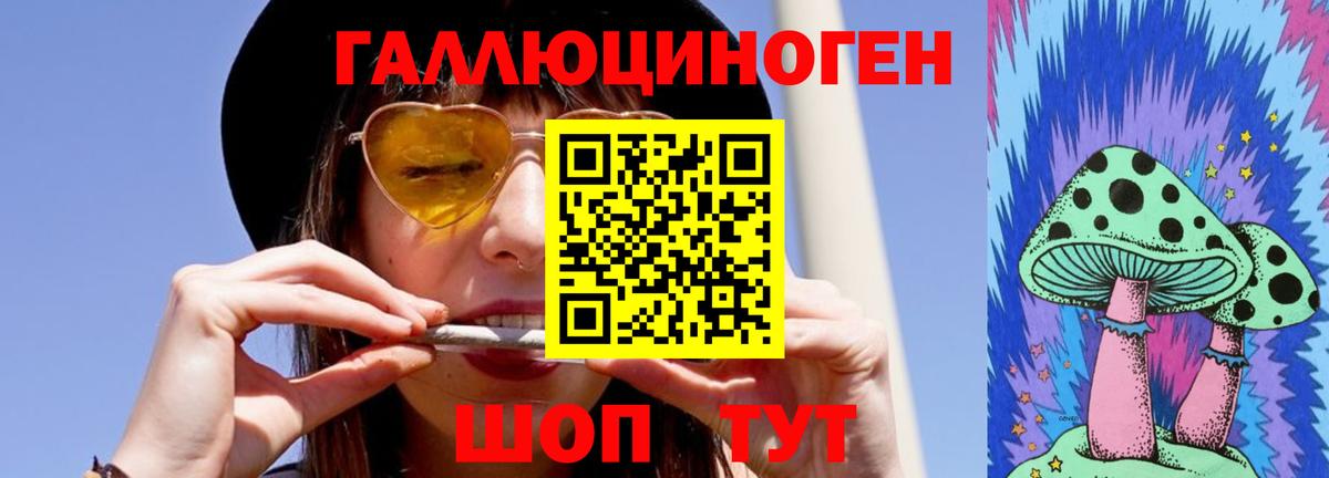 Горно-Алтайск  Псилоцибиновые грибы прущие грибы  Вход с VPN  закладка  Галлюциногенные грибы Psilocybe 